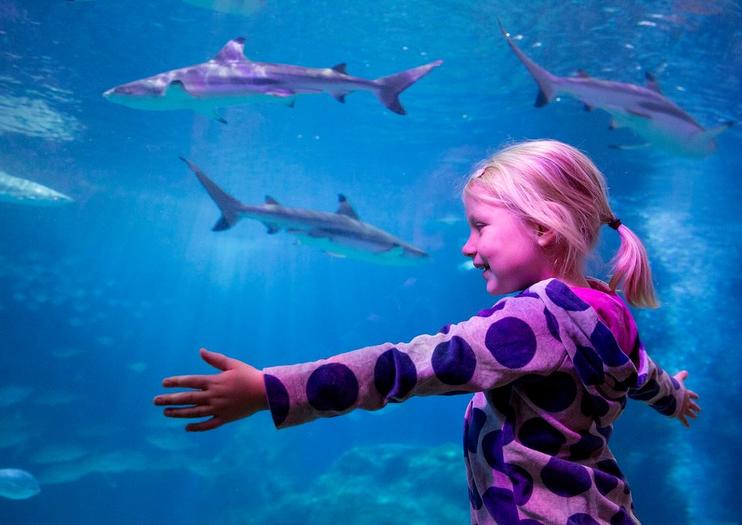 SEA LIFE® Oberhausen